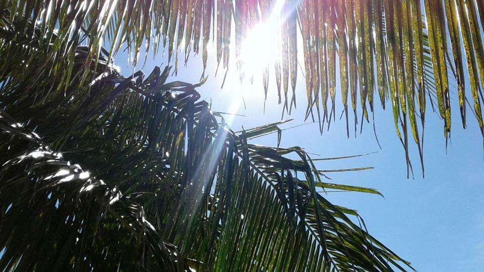 Vacation Beach Fales Hotel Manase Esterno foto