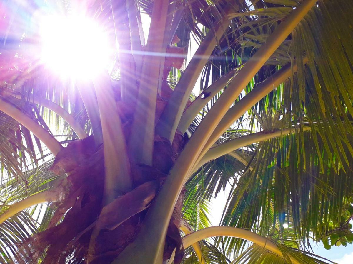 Vacation Beach Fales Hotel Manase Esterno foto